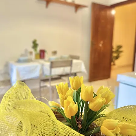 Apartment Da Lorenzo Gaggi
